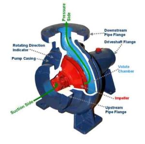 diagram of centrifugal pump 