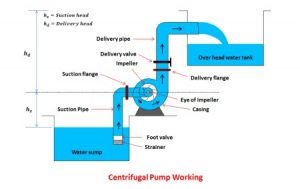 working of a centrifugal pump 
