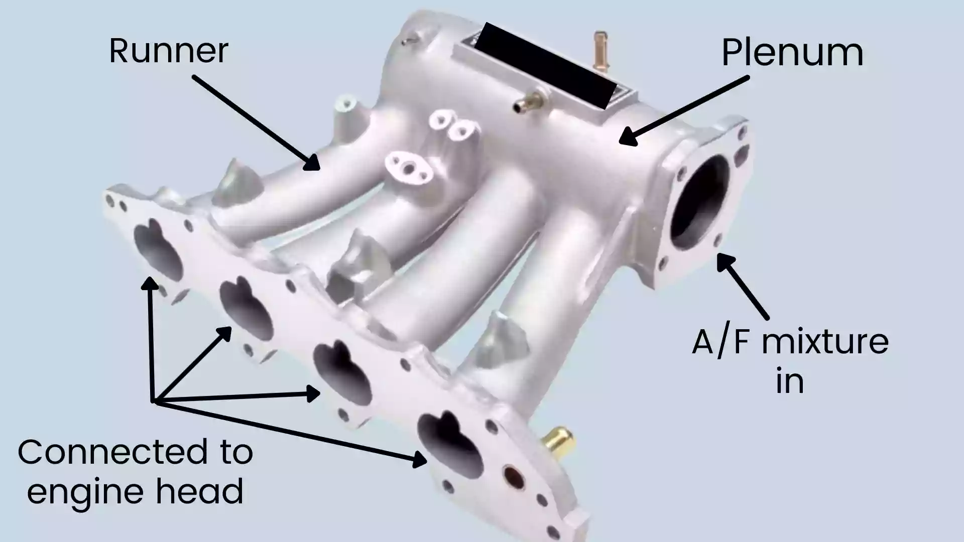 Intake Manifold: definition, working, symptoms, location - Student Lesson