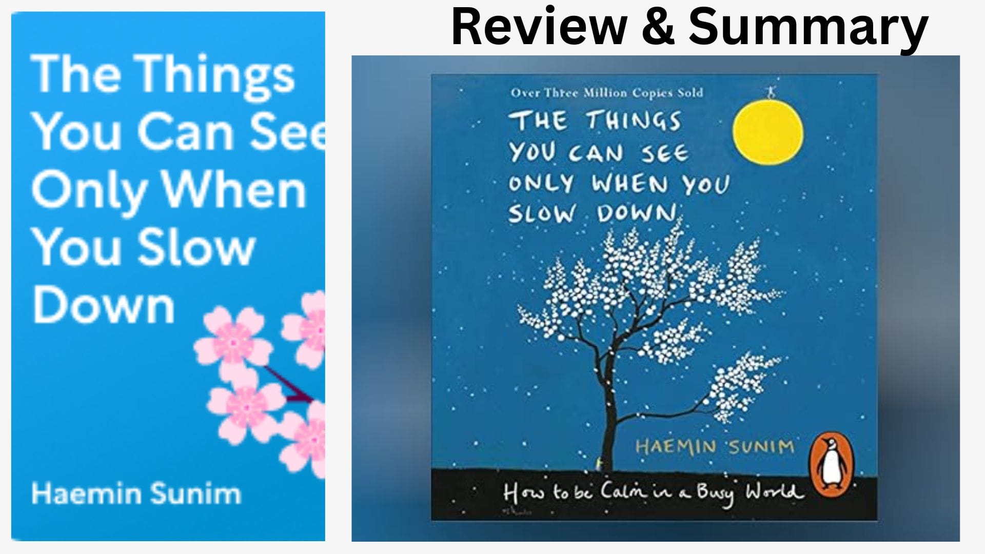Things You Can See Only When You Slow Down – Haemin Sunim